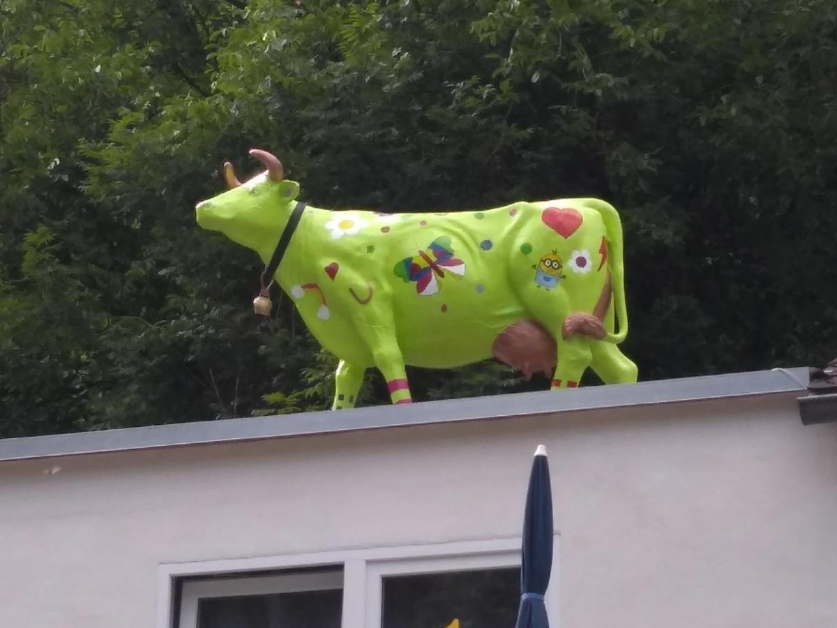 Pension Camping Schausten Кохем Екстериор снимка